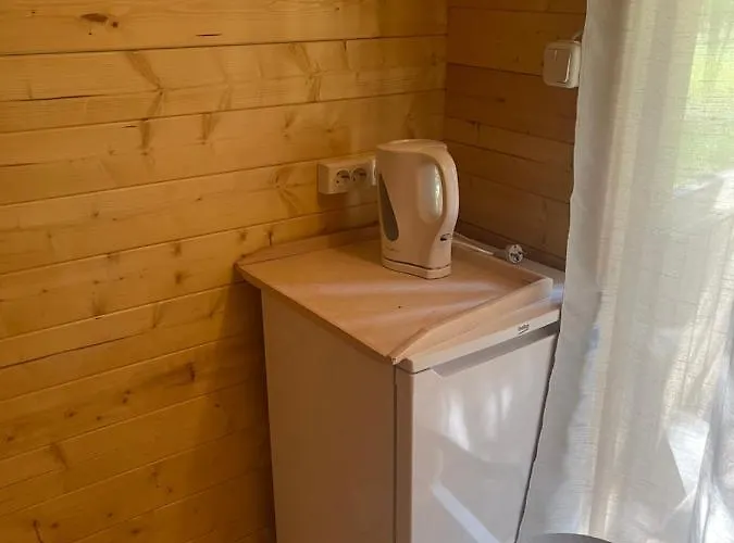 домик на чудском озере *